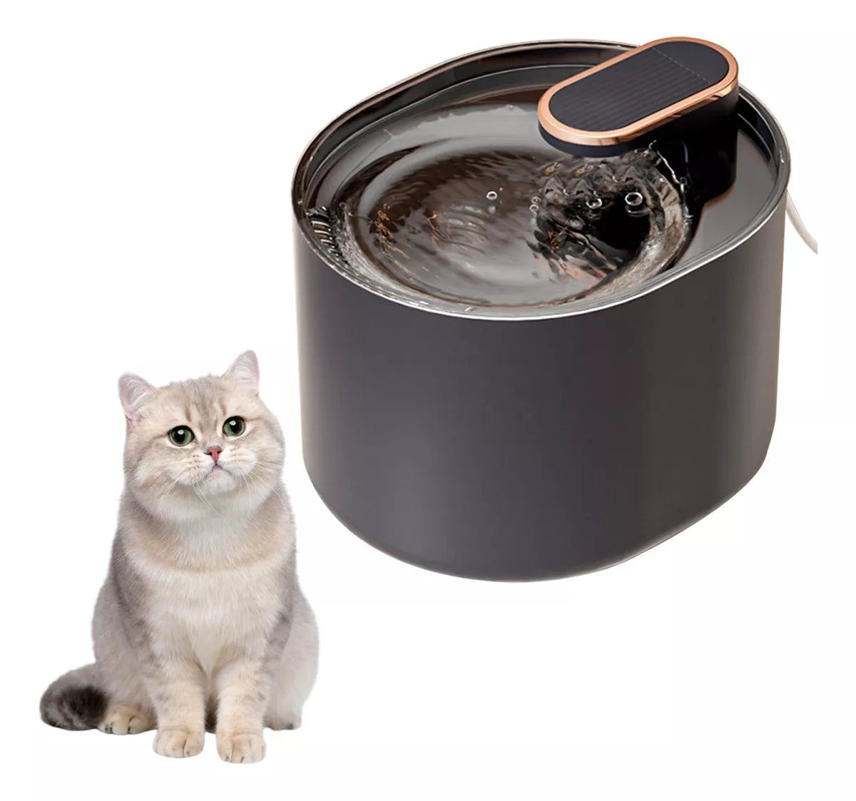 Fuente Dispensadora de Agua para Mascota – Estilo y Funcionalidad para la Hidratación de Tu Mascota